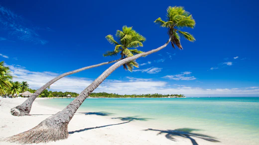 Traumstrand in der Südsee