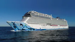 Norwegian Bliss